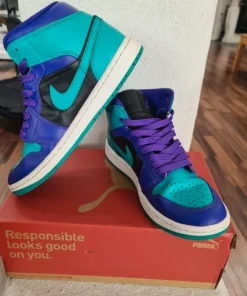 Air Jordan 1 Mid Black Grape