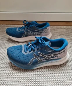 Asics Evoride 3
