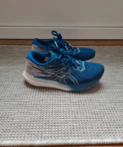 Asics Evoride 3