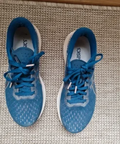 Asics Evoride 3