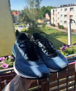 Asics GT 1000