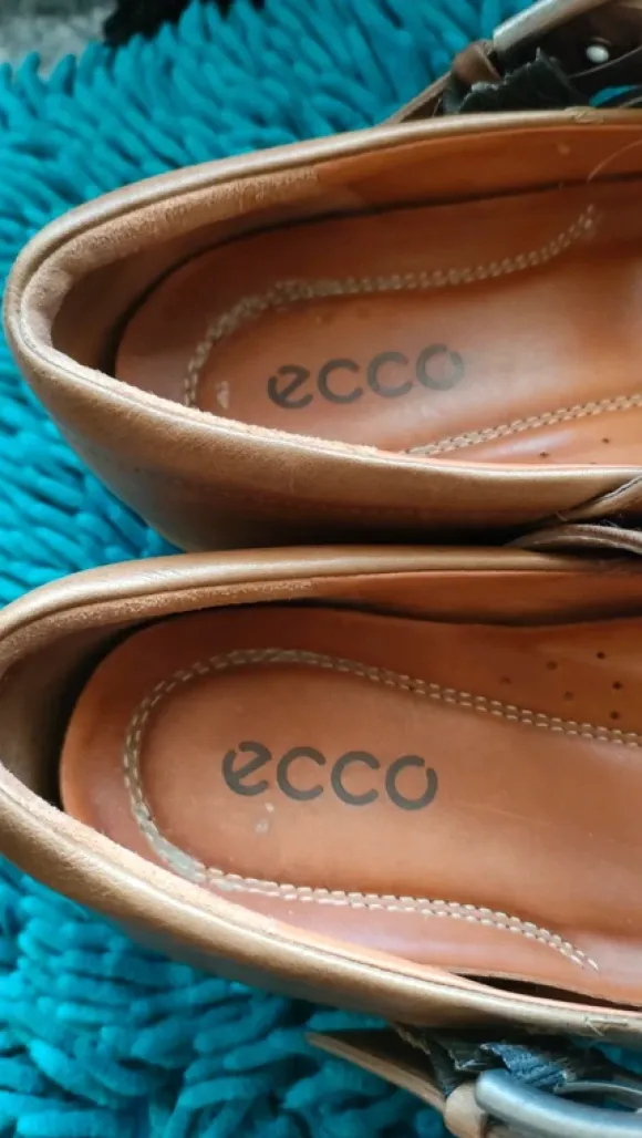 Buty damskie 41 ecco