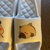 Capybara tofflor
