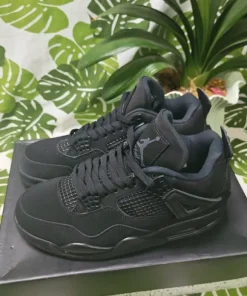 Jordan 4 Black Cat 43