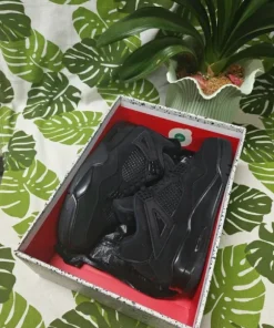 Jordan 4 Black Cat 43