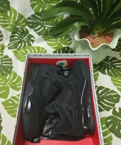 Jordan 4 Black Cat 43
