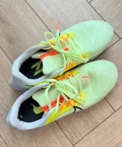 Nike air zoom Pegasus