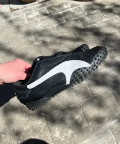 Puma monstro