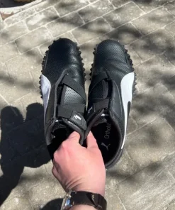 Puma monstro