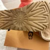 UGG Tasman