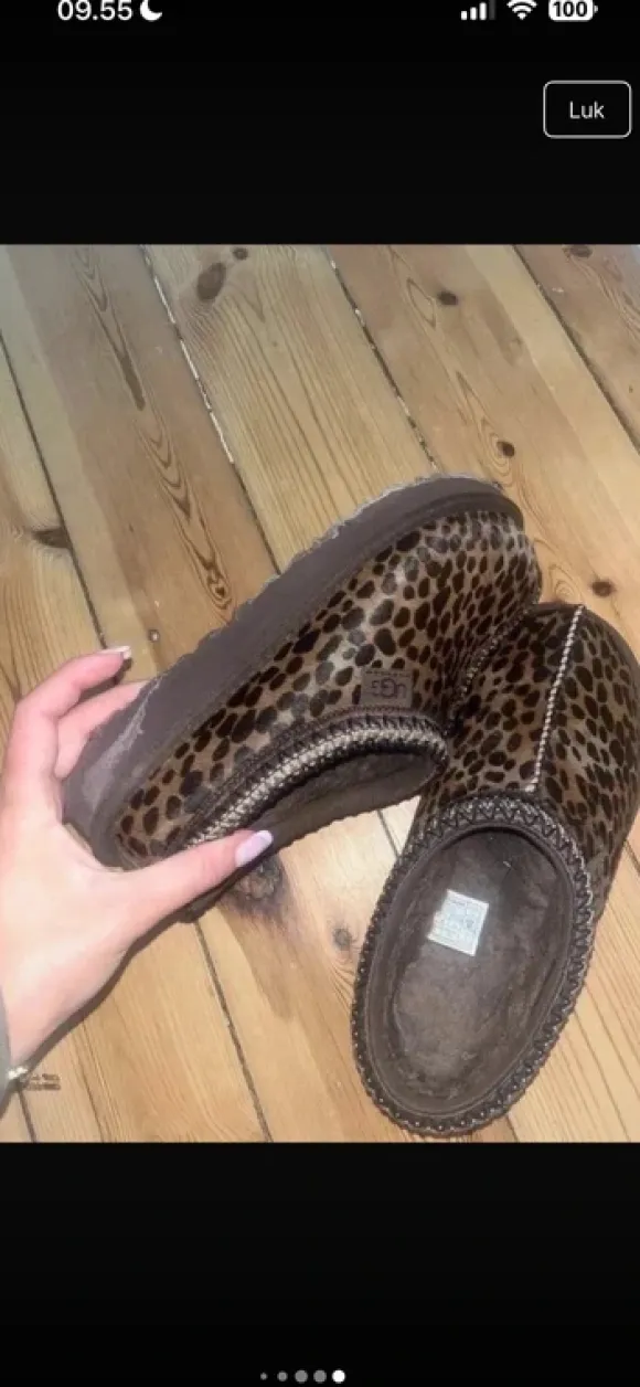 Ugg tasman