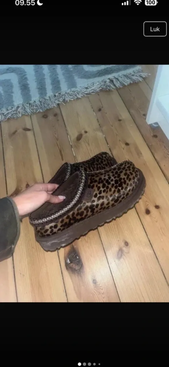 Ugg tasman